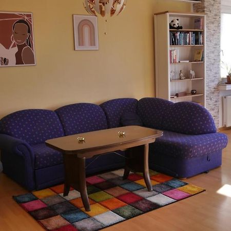 Grosszugige Wohnung Mit Herkulesblick Nahe Uni 卡塞尔 外观 照片
